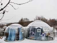 Domo Geodésico de Lujo para Glamping, Tipo Iglú, para 4 Estaciones, de 3m, 4m, 5m y 6m, para Hotel o Casa, en Venta