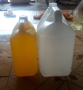 DISPONIBLE Aceite de Sacha Inchi Orgánico de Calidad de Exportación, 100% Puro, Prensado en Frío, Extra Virgen, para Mercados Globales - Product Image 5