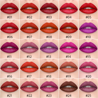 Gloss à lèvres velours mat longue tenue, haute pigmentation, végan, sans cruauté, minéral, hydratant, 43 couleurs, waterproof, non-collant, liquide, 5g