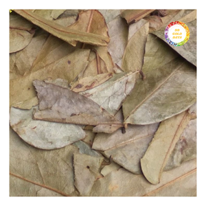 ใบเต้าร้อยแห้งพรีเมียม ใบเต็ม ไม่ย้อมสีธรรมชาติ คัดสรรอย่างพิถีพิถัน สะอาดและแห้งอย่างดี สำหรับการสั่งซื้อจำนวนมาก - Product Image 5