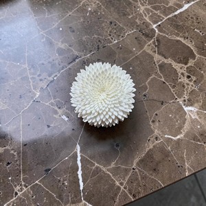 VADEE SOLA WOOD <b>FLOWER</b> White Snow Ranunculus Reed <b>Diffuser</b> <b>Flower</b> Bundle Replacement Handmade Sustainable Dried - Product Image 5