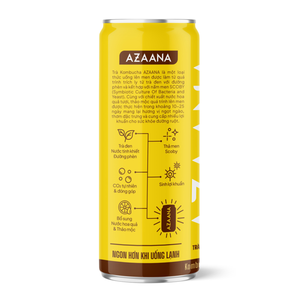 Bebida de Kombucha de Jengibre Dracontomelon, Bebida Fermentada Probiótica, Proveedor Mayorista Personalizado OEM - Product Image 3