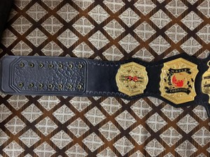 Cinturón de Campeón Mundial de Lucha Libre TNA, Chapado en Oro, Cuero PU, Unisex, Equipo de Artes Marciales - Product Image 4