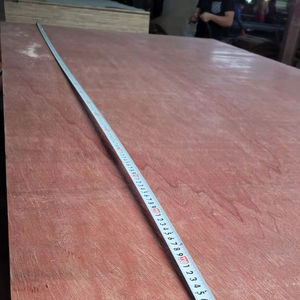 Contreplaqué Bintangor Commercial 4x8, Eucalyptus Acacia de Première Qualité, Faible Émission de Formaldéhyde E2, Idéal pour Hôtels Modernes et Utilisation Intérieure - Product Image 3