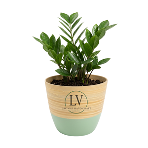 Scandinavian Style Spun <b>Bamboo</b> <b>Planter</b> Natural Small Indoor Flower <b>Pot</b> Decorative Plant <b>Pot</b> For Table Top Decor Made in Vietnam - Product Image 3