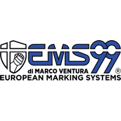 EMS99 logo