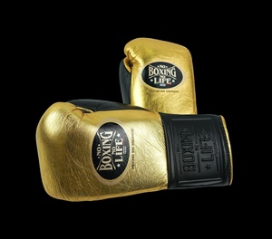 Guantes de Boxeo RTS de Primera Calidad a Precio de Mayoreo, Guantes de Boxeo Profesionales de Piel Genuina Antideslizantes para Sparring, Modelo AS-BG-5046 - Product Image 3