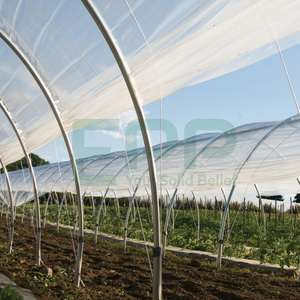 Increase Yield and Quality with Large PE Film <b>Agricultural</b> <b>Greenhouses</b> - Product Image 1