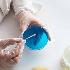 Espátula Química de Doble Extremo para Laboratorio - Product Image 3