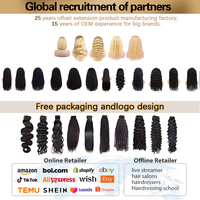 Perruques en cheveux humains indiens bruts de densité 250, lisses, pour femmes, avec dentelle frontale HD 13x6, pré-épilées, sans colle, avec mèches