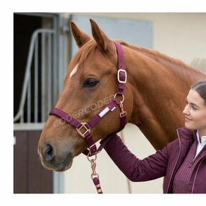 En gros, Nouvelle Arrivée : Ménagères pour chevaux de qualité supérieure, personnalisables, rembourrées, confortables, douces et réglables, avec rembourrage pour le nez et la tête. - Product Image 3