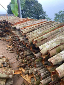 อบเชยแท่งเวียดนามคุณภาพสูง ขนาด 6-10 ซม. กลิ่นหอมเข้มข้น สำหรับผู้นำเข้าเครื่องเทศระดับโลก - Product Image 4