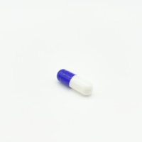 Capsules vides en gélatine végétale, personnalisables, en stock, pour marque privée, fourniture directe usine