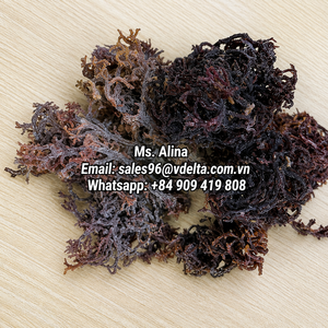 สาหร่ายมอสสีม่วงแห้งและสาหร่ายมอสสีม่วงผสมเกลือจากเวียดนาม/ คุณอลีนา - Product Image 6