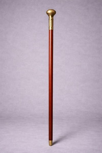 Bâtons de marche rustiques modernes en bois naturel écologique avec poignée en laiton poli, idéaux pour les cadeaux - Product Image 2