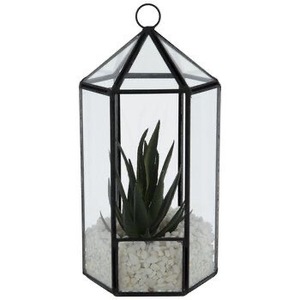 Terrario Personalizado de Metal y Vidrio, Macetero Moderno de Vidrio para Plantas de Interior, Suculentas, Plantas Aéreas y Terrario DIY para Decoración de Eventos - Product Image 1