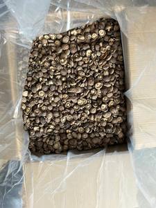 Mejor Precio, Alta Calidad, Hongos Shiitake Silvestres Crudos y Secos de Vietnam, Sra. Lima - Product Image 6