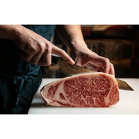 Couteau de chef en acier damas de qualité japonaise Longueur de lame populaire 9305 Couteau ZUIUN Gyuto 210 mm