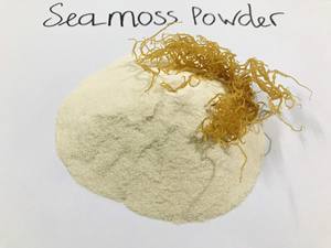 EL MEJOR PRECIO DE POLVO DE CARRAGEENAN DE ALTA CALIDAD HECHO EN VIETNAM - Product Image 5