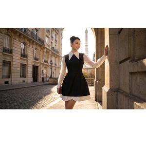 Wholesale Silhouette Long <b>Silky</b> Sleeves French Peter Pan New <b>Top</b> Perfect A-line Large Peter Pan Collar Dress Vietnam - Product Image 3