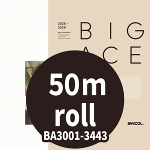 Papel pintado BIG ACE BA3001-3443 Rollo de 50m Sincol - Product Image 1