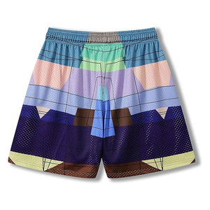 Pantalones Cortos de Malla Sublimados con Diseño Personalizado 2026, Transpirables, con Cintura Elástica y Bolsillos, para Hombre - Product Image 2