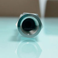 Vanne anti-retour en acier inoxydable 316 de qualité supérieure, corps métallique antirouille, longue durée de vie, flux unidirectionnel fluide, connexion NPT 1/4'', conception facile à installer, sûre