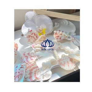Artesanías de Conchas Marinas de Alta Calidad para Exportación |   Paquete al por Mayor de Artesanías de Conchas 100% Naturales - Product Image 1