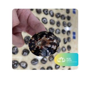 เปลือกหอยรูปไข่รักษ์โลก (ขัดเงา) สำหรับงานศิลปะ DIY ธีมเทวดาและทันสมัย ของที่ระลึกจากเวียดนาม - Product Image 1