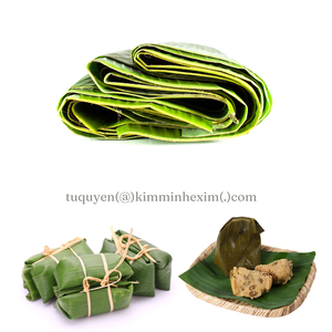 Feuilles de bananier surgelées IQF du Vietnam pour l'emballage alimentaire, la transformation alimentaire, la vente en gros et la fourniture en vrac, qualité export. - Product Image 6