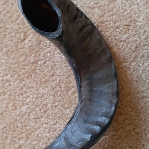 Polished Natural Sheep Ram Shofar Horn-Eco-Friendly Religious Home Decor High Quality - Product Image 3