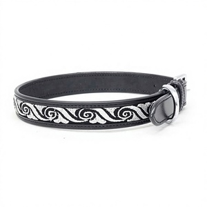 Collier de chien de créateur de broderie - Product Image 1