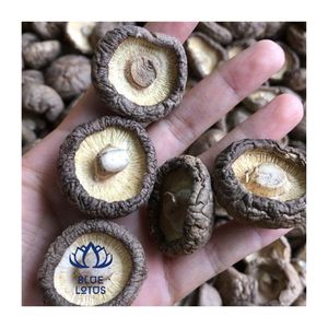 เห็ดชิตาเกะแห้งพรีเมียม เห็ดแห้งรักษ์โลก บรรจุภัณฑ์ขนาดใหญ่สำหรับผู้ซื้อ - Product Image 1