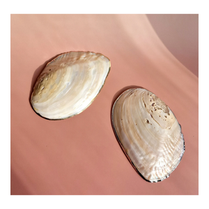 Plateau en nacre naturelle fait main Top 2026, plateau décoratif de luxe en coquillage pour la décoration intérieure, vaisselle, cadeau - Product Image 1