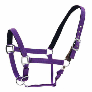 Haltères en cuir réglables de haute qualité pour l'équitation en plein air, course d'endurance, personnalisation de la marque, taille personnalisable - Product Image 6