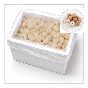 Longan Congelado Entero en Bolsa de Plástico de 10 kg, el Más Vendido en Vietnam, Precio de Fábrica, Estándar Internacional - Product Image 1