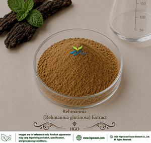Extrait de racine de Rehmannia (Rehmannia glutinosa) frais, qualité alimentaire (approvisionnement direct usine HGO) 4:1 5:1 10:1 20:1 100:1 200:1 - Product Image 1