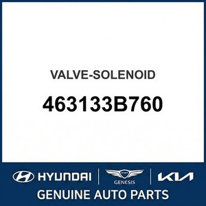 Válvulas Nuevas Grandeur/Azera 463133B760 - Product Image 1