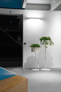 Soportes de Metal Modernos y Minimalistas para Plantas de Interior con Diseño Circular, Acabado con Recubrimiento de Polvo Blanco - Product Image 6