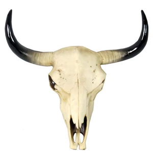 Handcrafted Buffalo <b>Bull</b> & Ram <b>Skulls</b> with Horns Exquisite Artisan Wall and Stand Decor with Cultural Elegance - Product Image 1