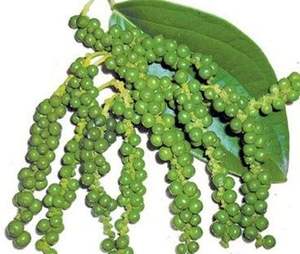 Pimienta Negra Vietnamita de Primera Calidad, Sabor Intenso, Ideal para Cocinar, Sazonar y Mercados de Exportación Globales - Product Image 2