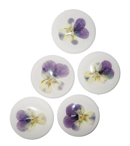 Heartsease Real Specimen Plastic Cabochon Round 38x38 mm White Flat Bottom for Crafts and Jewelry Making - Product Image 4