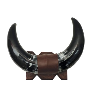 Vente en gros de cornes de buffle brutes décoratives pour la production artisanale, en lots de 2 et sur mesure (taille et couleur) - Product Image 6