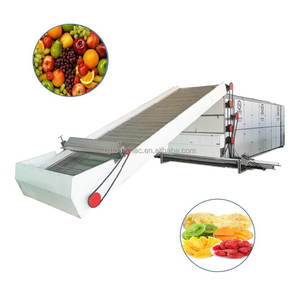 Matériel de séchage industriel pour fruits et légumes Séchoir à bande Séchoir à fruits Machine à fruits secs - Product Image 1