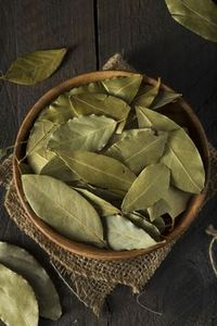 Hojas de Guanábana Vietnamita Secas al Sol de Primera Calidad, Cuidadosamente Seleccionadas, Naturales, Aromáticas, Puras, Producto Botánico Tropical de Calidad de Exportación - Product Image 2