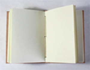 Customizable Camelon Exports Notebook Hemp Leaf Embossed Front Cover Natural Color Goat TC <b>Leather</b> Soft Cover Rajasthan <b>Diary</b> - Product Image 4