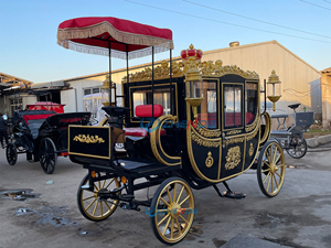 Calèche royale de luxe, plusieurs couleurs, calèche électrique, calèche tirée par des chevaux, fabriquée en Chine - Product Image 6