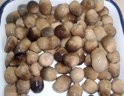 เห็ดหลอดกระป๋องเกรดพรีเมียม คุณภาพเยี่ยม รสชาติสดใหม่ อายุการเก็บรักษายาวนาน // คุณทอม - Product Image 2