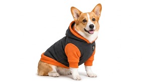 Fashionable <b>Dog</b> <b>Hoodies</b> Featuring Soft Breathable Fabric Cozy Fit And Lasting Comfort For Active Pets During Walks And Playtime. - Product Image 3