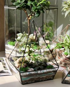 Terrario de Metal y Vidrio Personalizado, Moderno, para Plantas de Interior, Suculentas, Plantas Aéreas y Terrarios DIY - Product Image 6